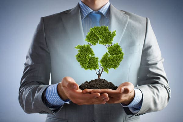 Environmental Management System