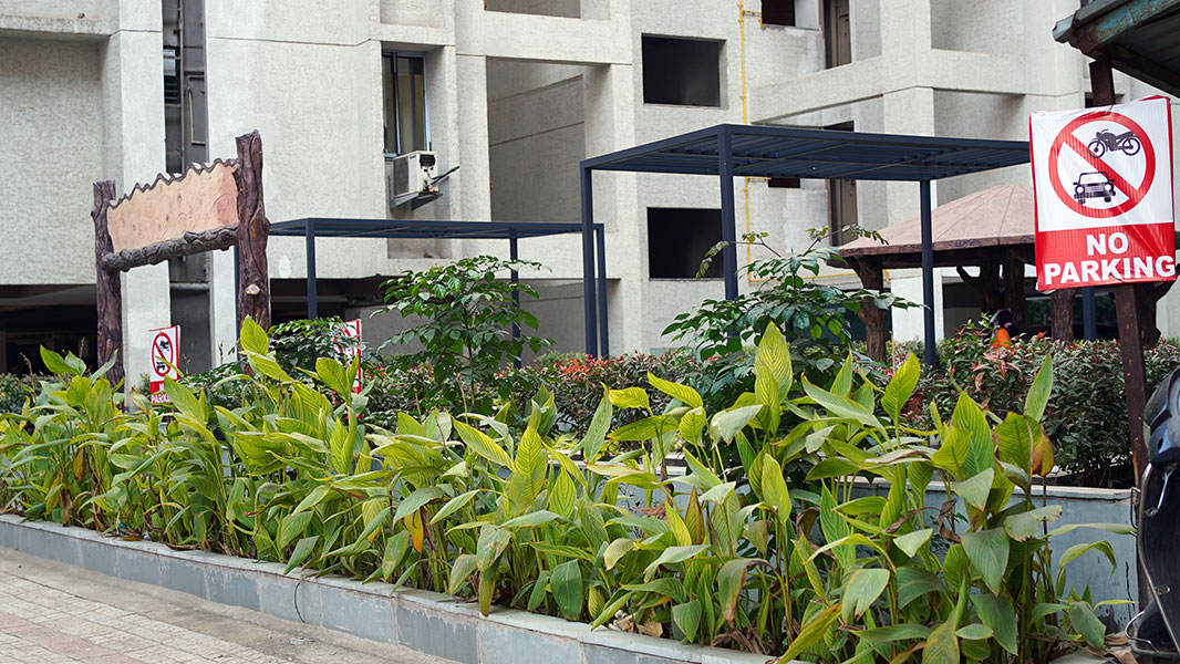 Club Zaza - DB Pride Indore