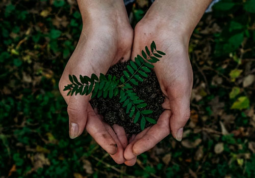 Apartments - DB Pride Indore