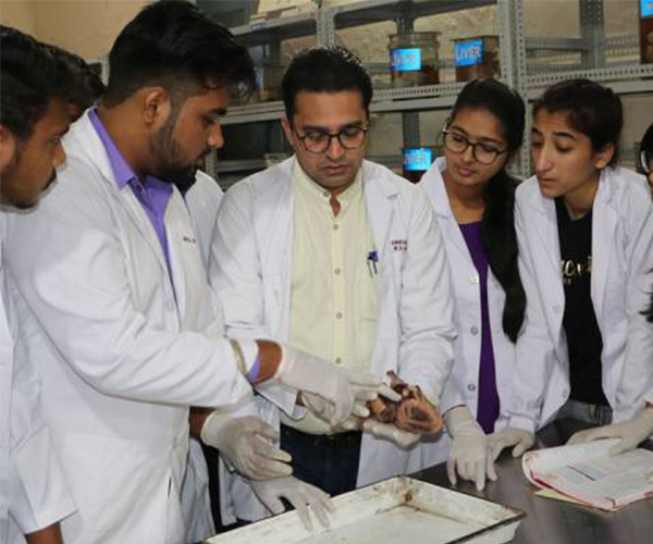 Faculty of Ayurveda