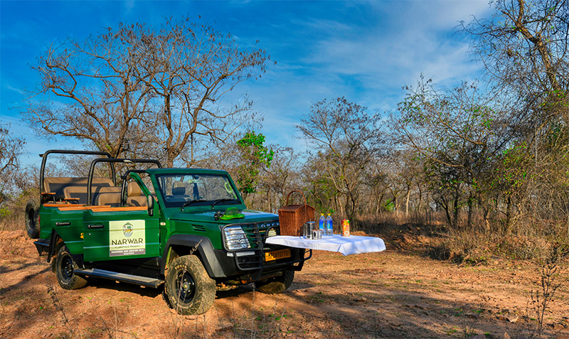 Narwar Lakefront Resort Shivpuri