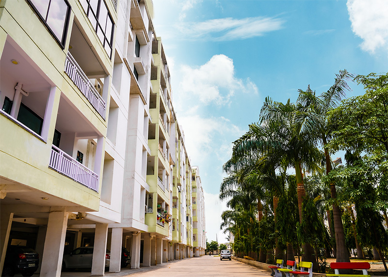 Royal Palm Extension