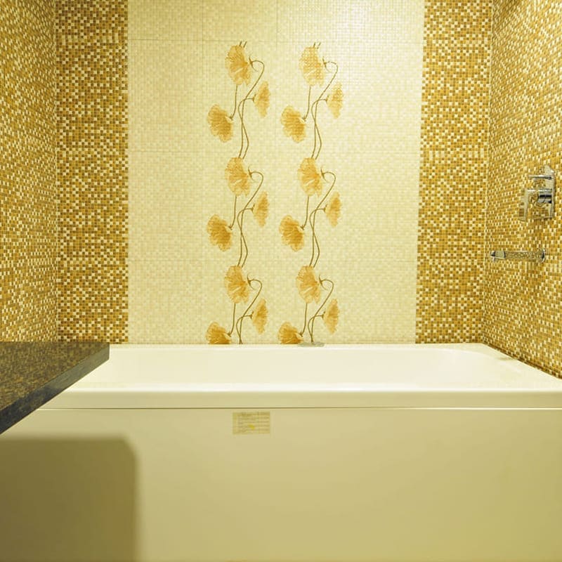 Flats in Raipur