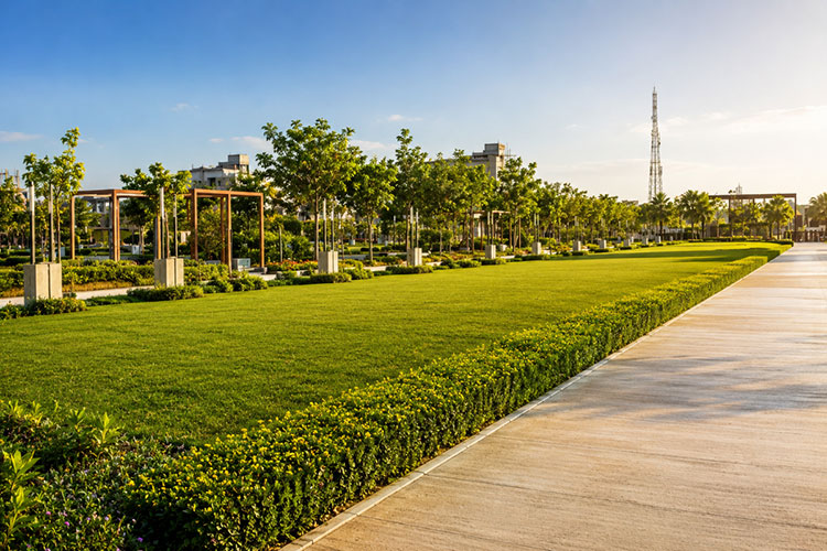 Plots in Raipur for Sale