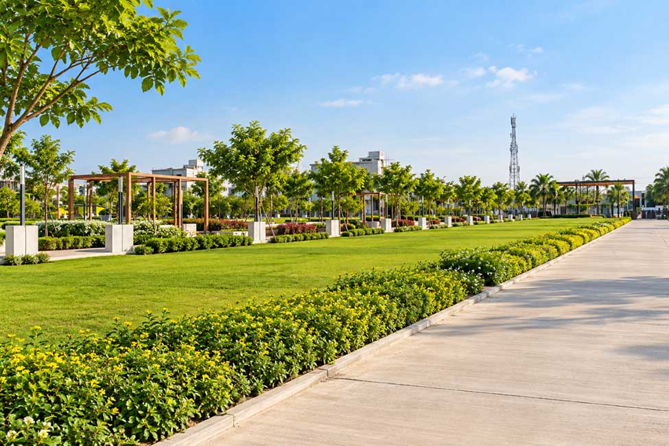 Plot in Raipur