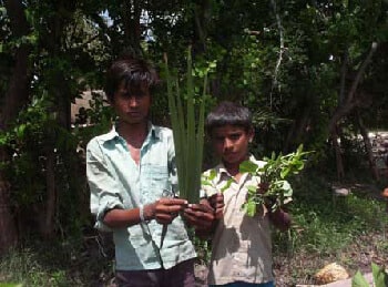 Taal India Gallery