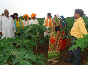 Taal India Gallery